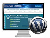 Custom WordPress Website 